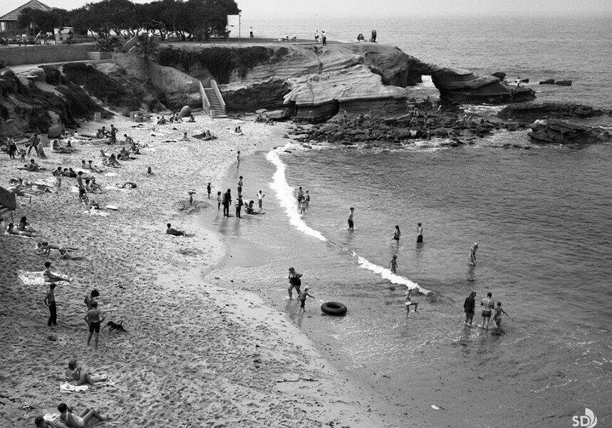 south view of beach in La Jolla